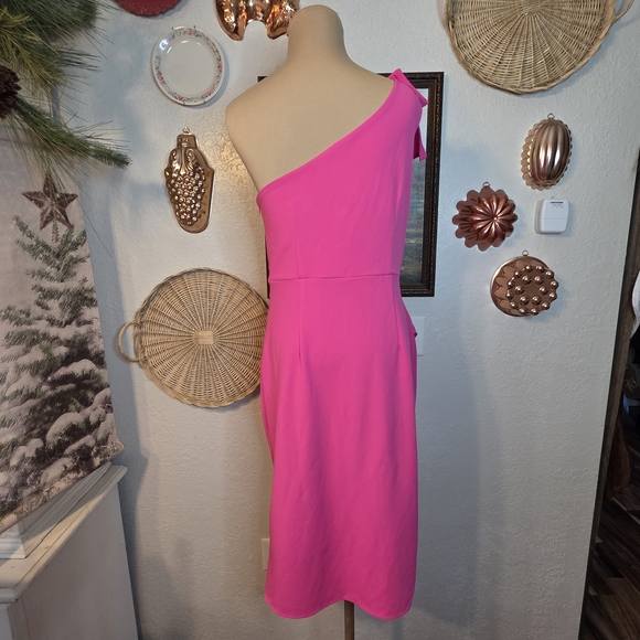 Caracilia Cocktail Formal Date Night Valentine's Day Pink One-Shoulder Dress - Picture 3 of 8